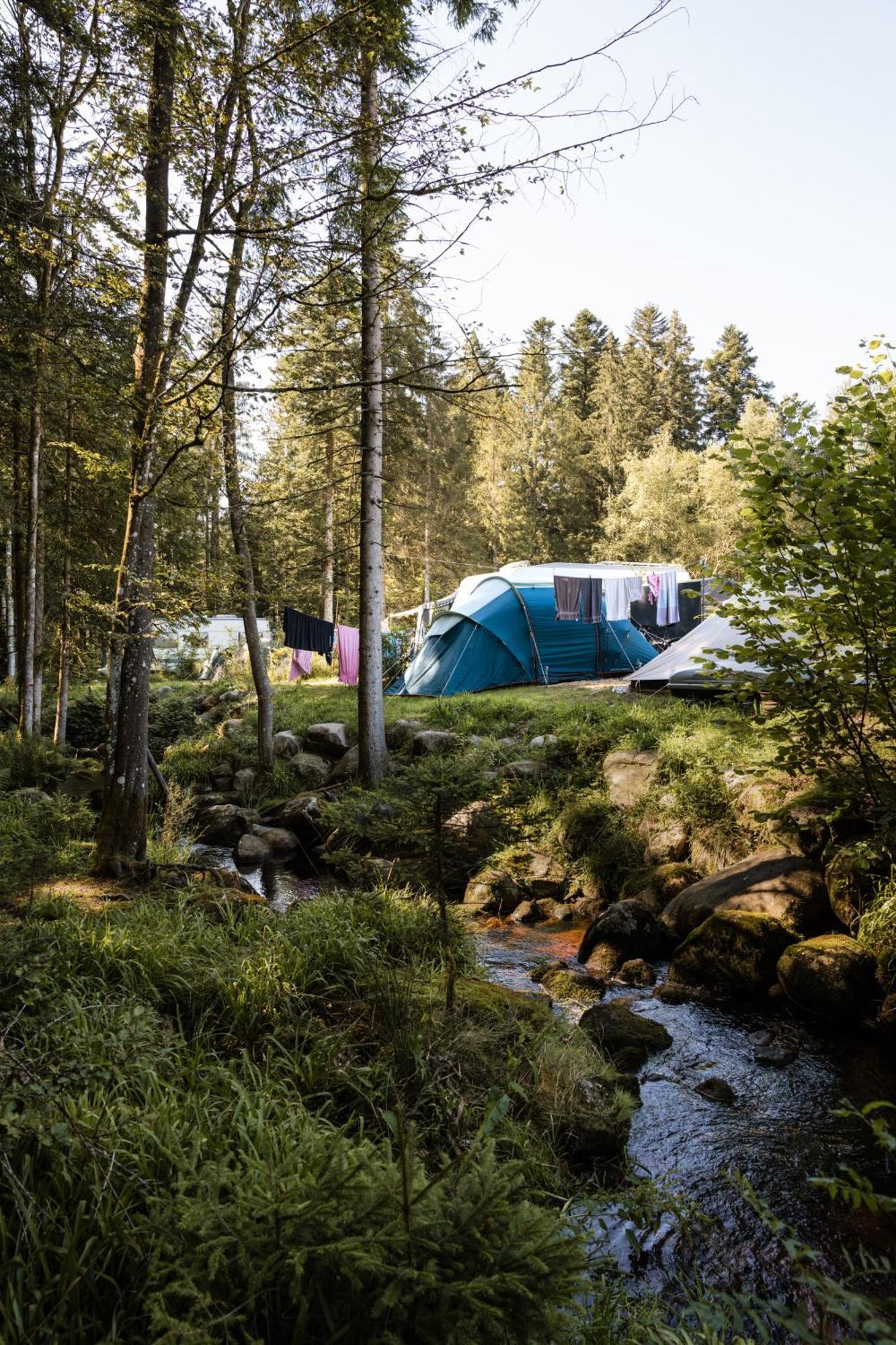 Flower Camping La Steniole Granges-sur-Vologne Exterior photo